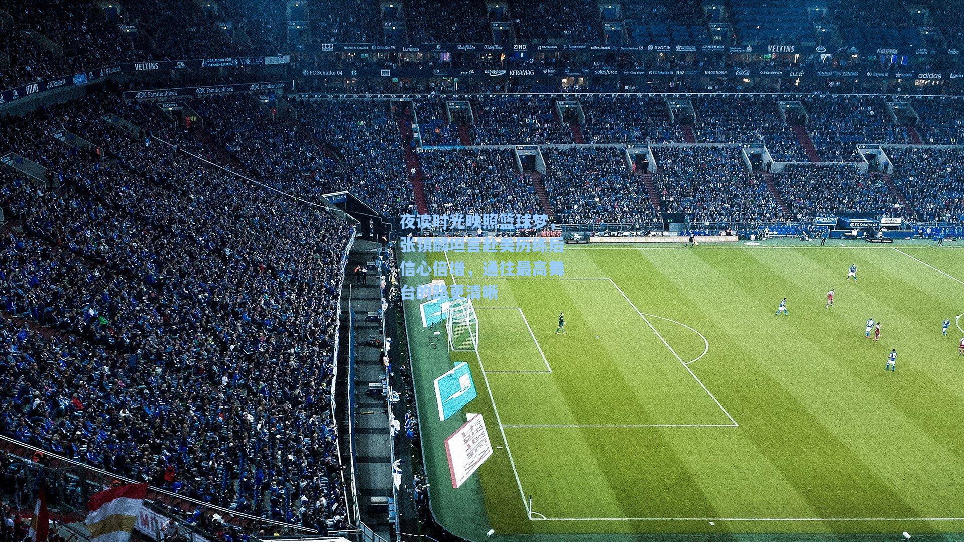 夜读时光映照篮球梦,张镇麟坦言赴美历练后信心倍增,通往最高舞台的路更清晰