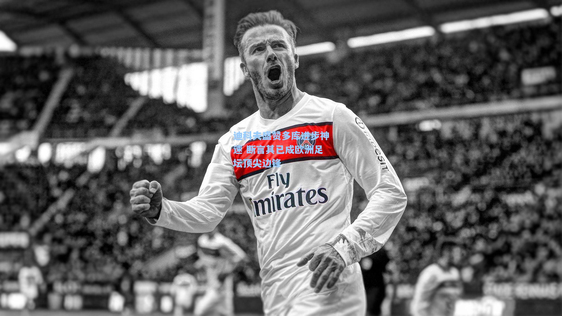 迪科夫盛赞多库进步神速 断言其已成欧洲足坛顶尖边锋